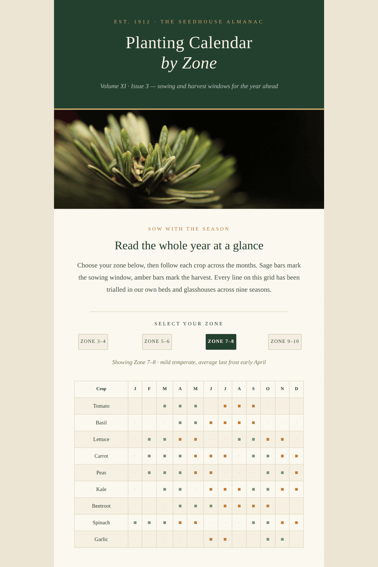 Planting Calendar by Zone