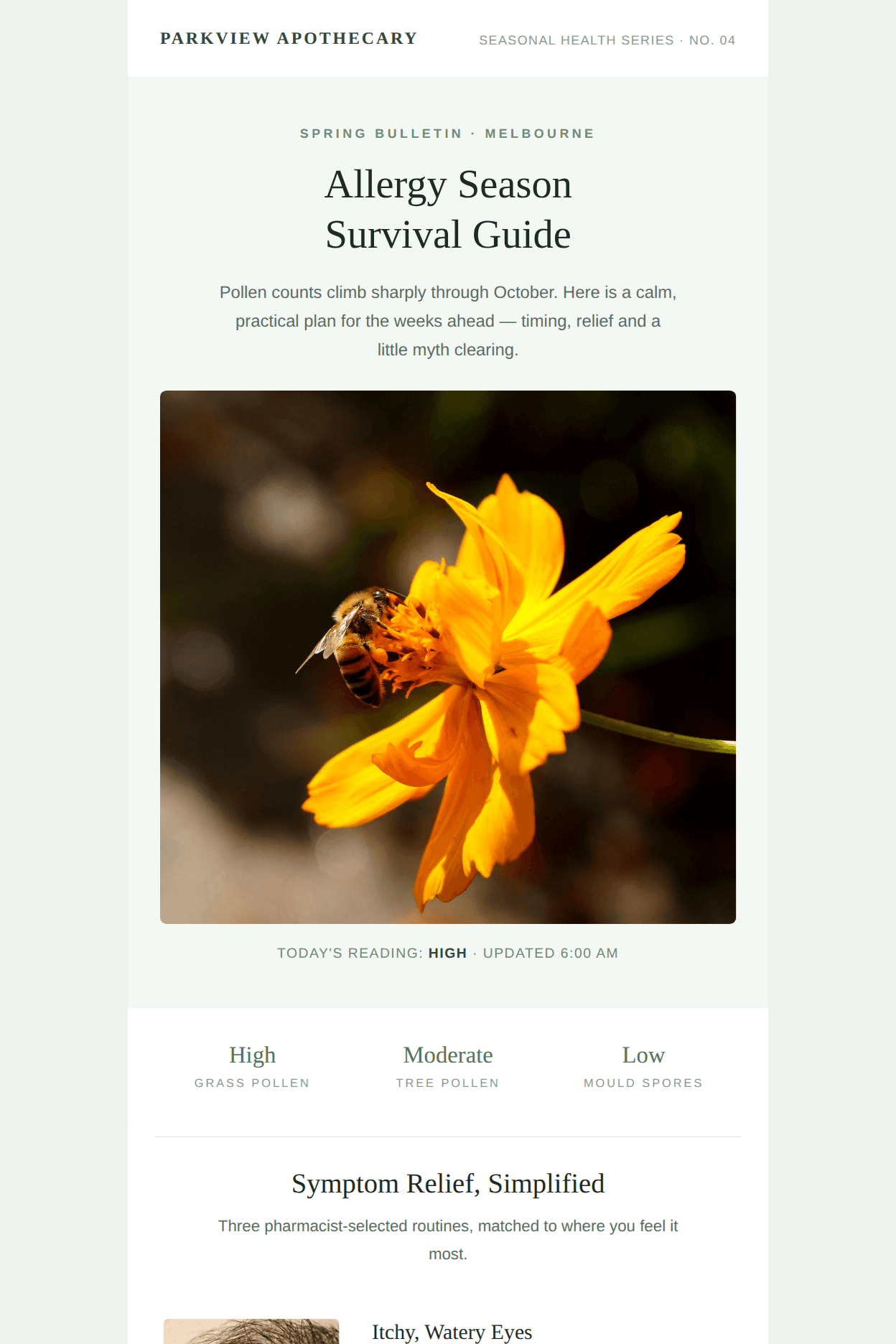 Allergy Season Survival Guide